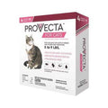 Pet Collar O24105