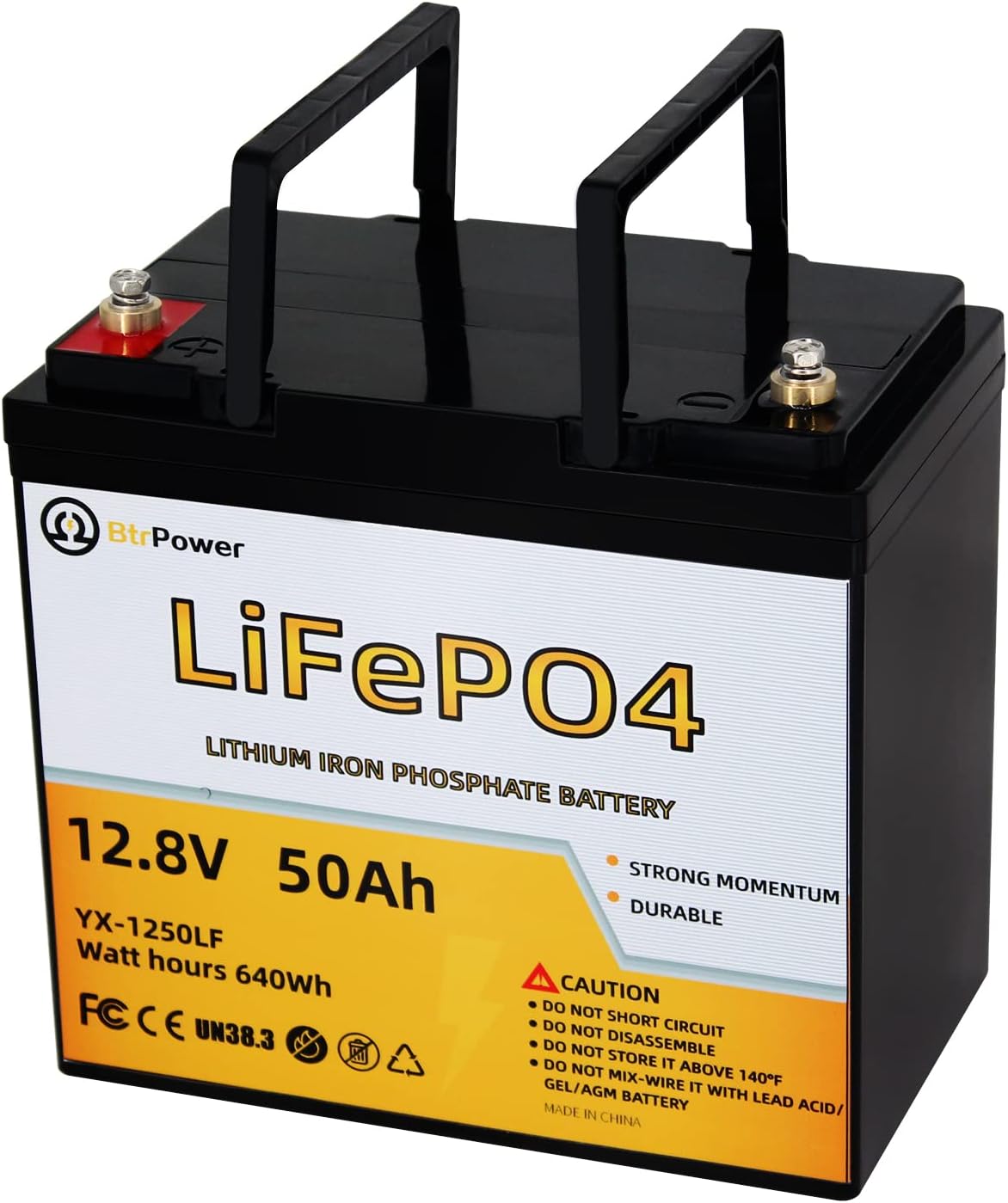 12V 100Ah Deep Cycle LiFePO4 Battery with Built-in BMS Y1692