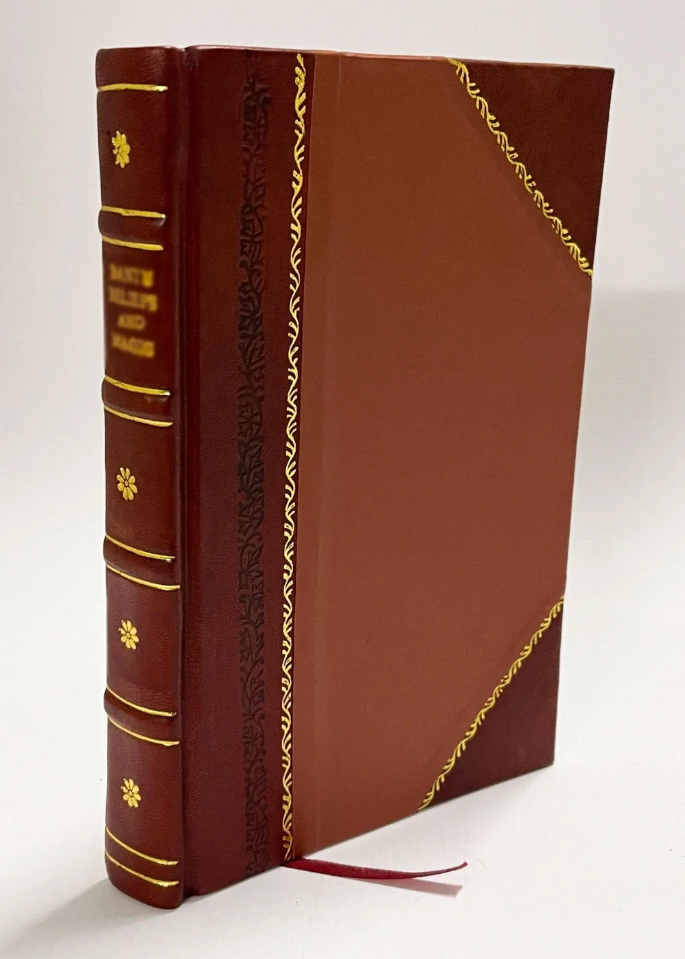 Leather Bound Novel L513561
