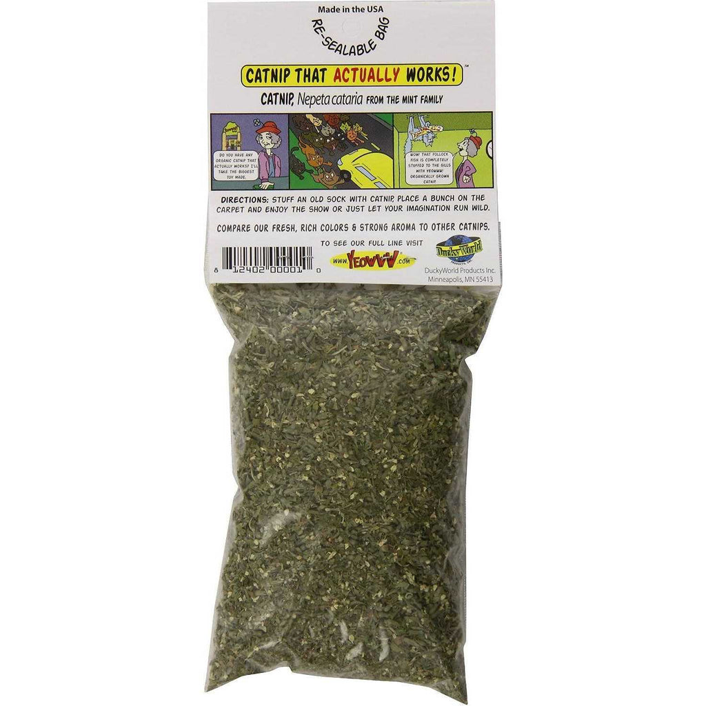 Catnip O224807