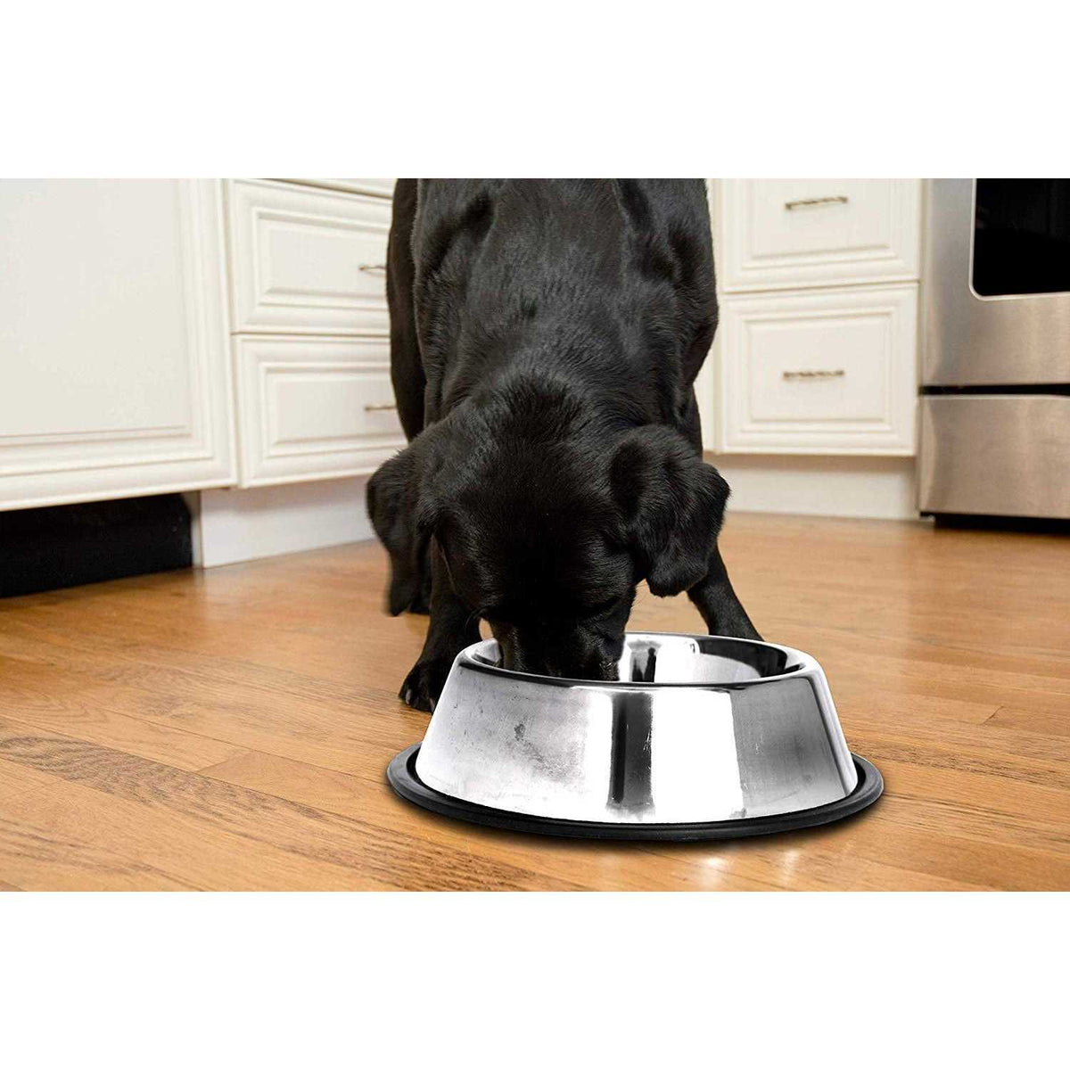 2 Pack Stainless Steel Non-Skid Pet Bowl W2706