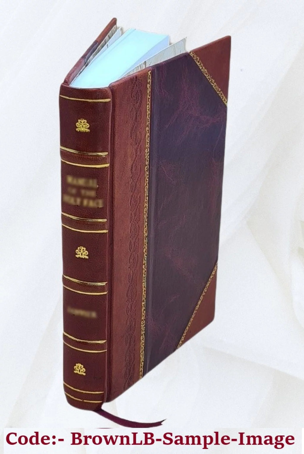 Leather Bound L803