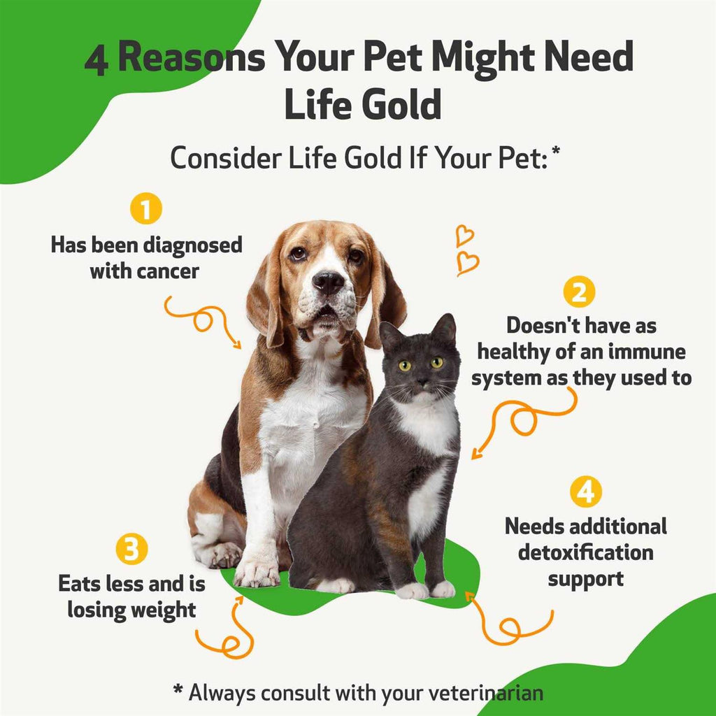 Life Gold for Dogs R421985