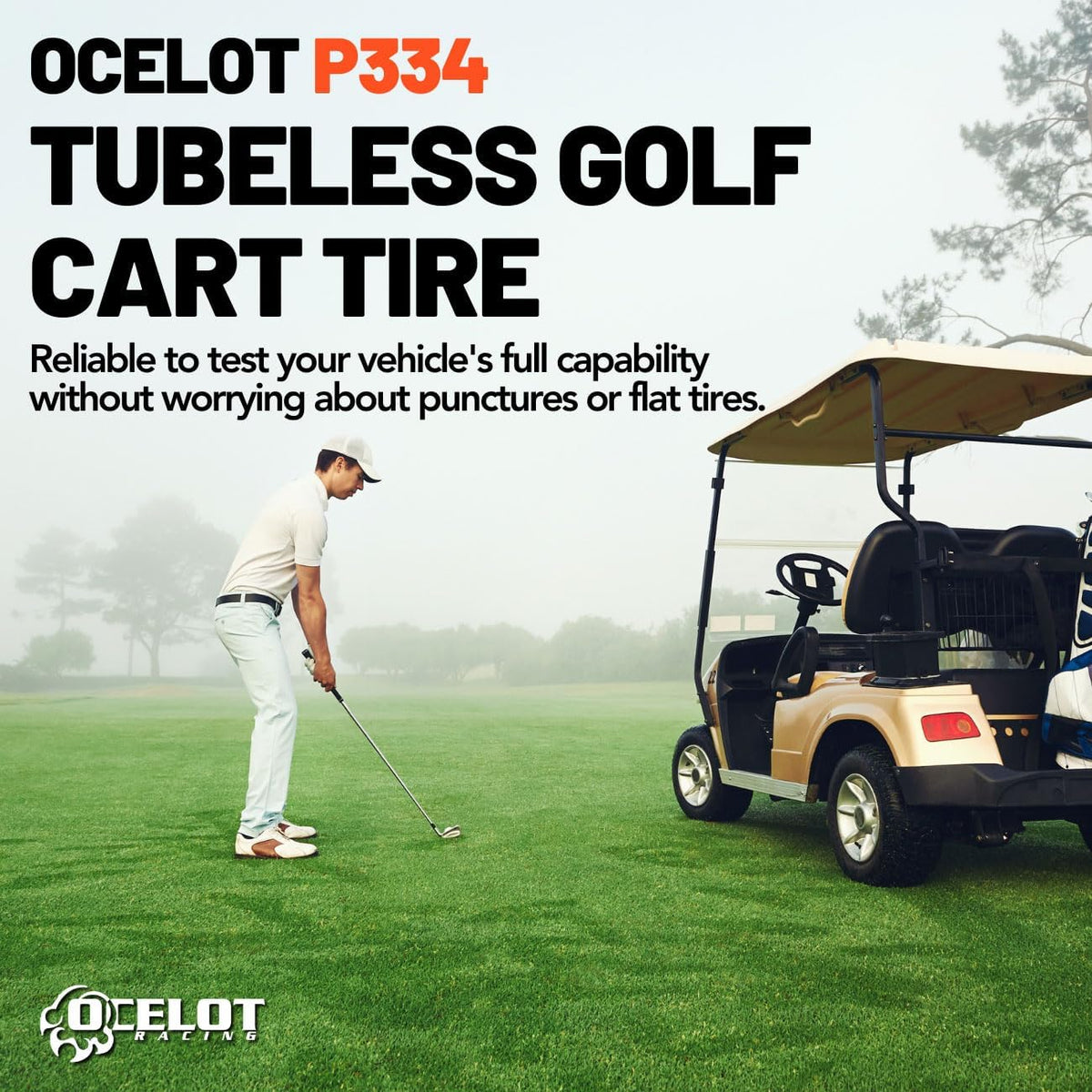 22x11-10 All Terrain Golf Cart Tires X64100