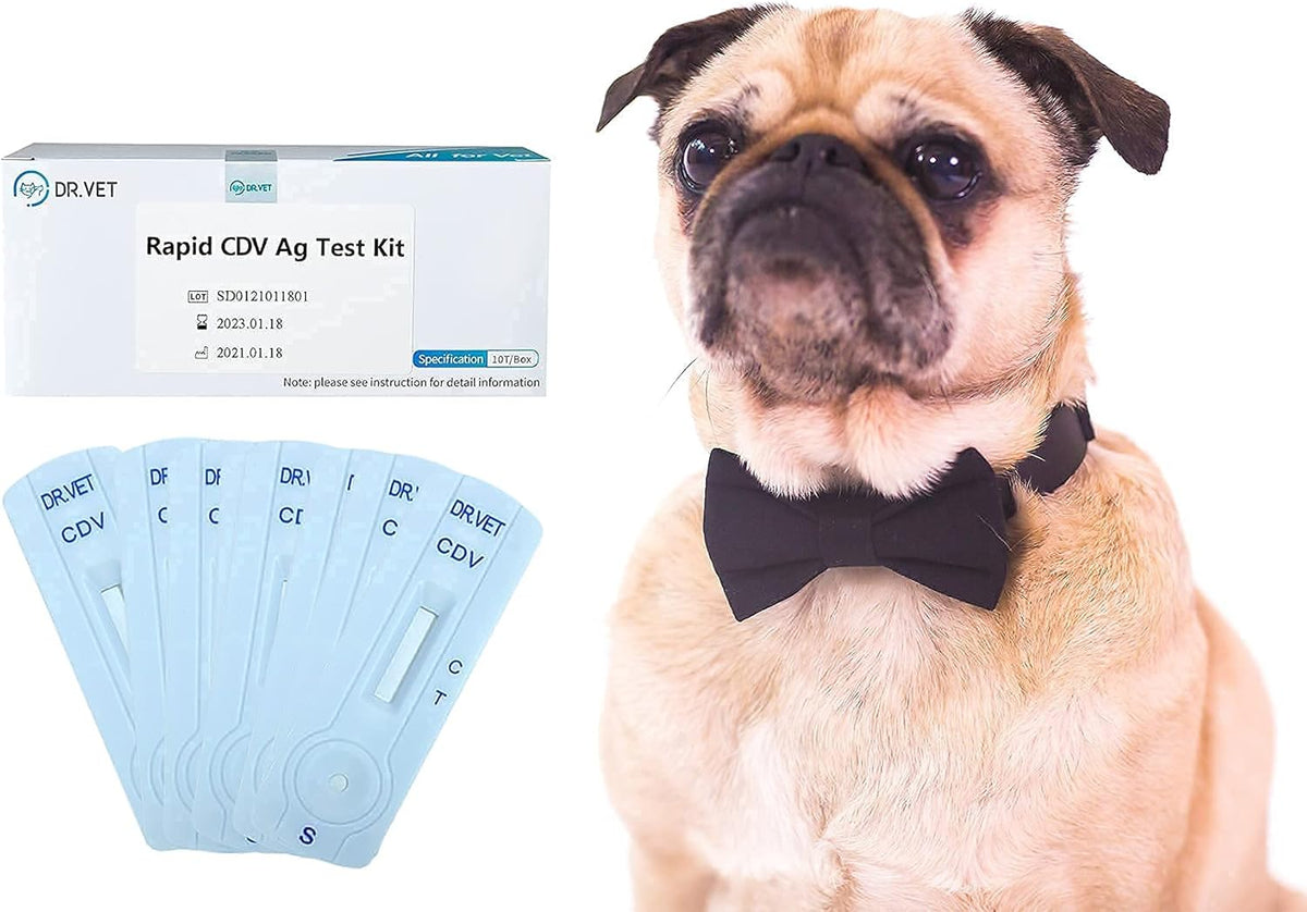 10-Packed Canine Distemper CDV Diagnostic Testing Kit Z209