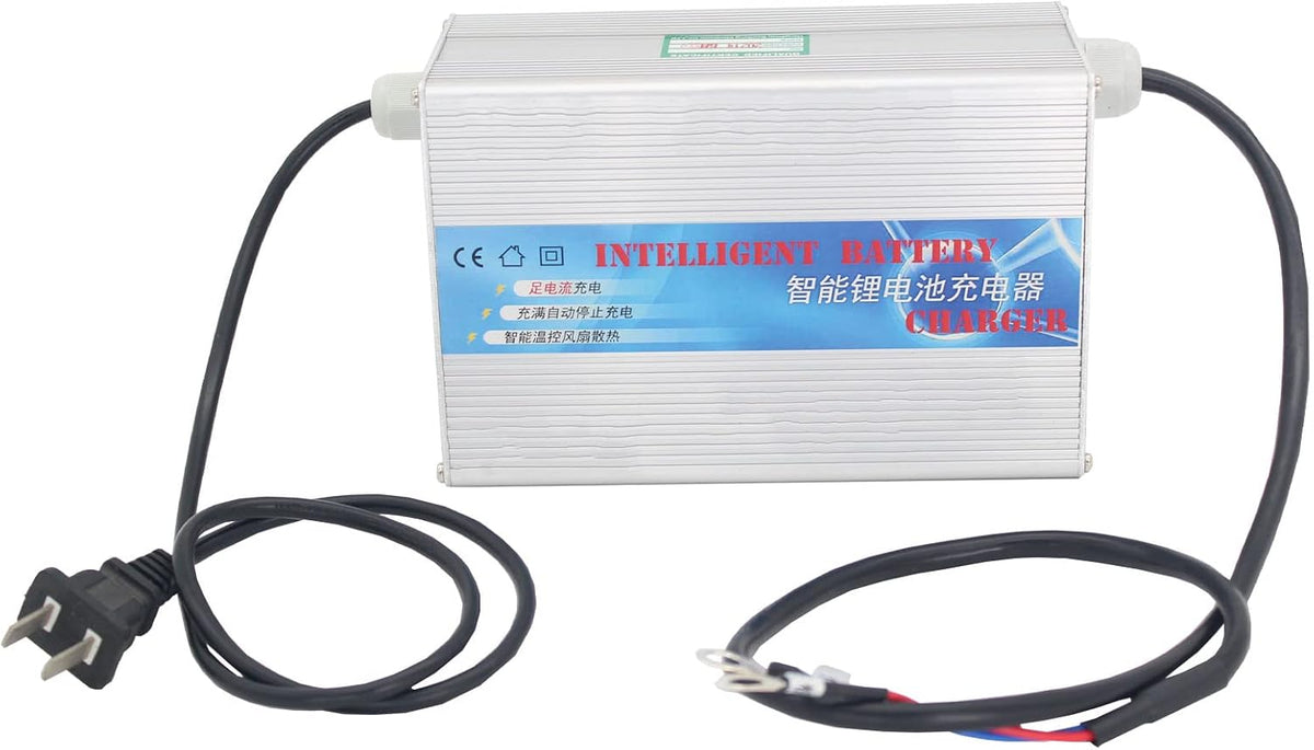 12V 100Ah Deep Cycle LiFePO4 Battery with Built-in BMS Y1692