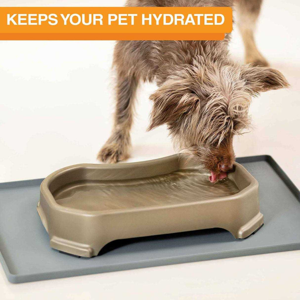 Extra Large Water Bowl for Dogs Z1345