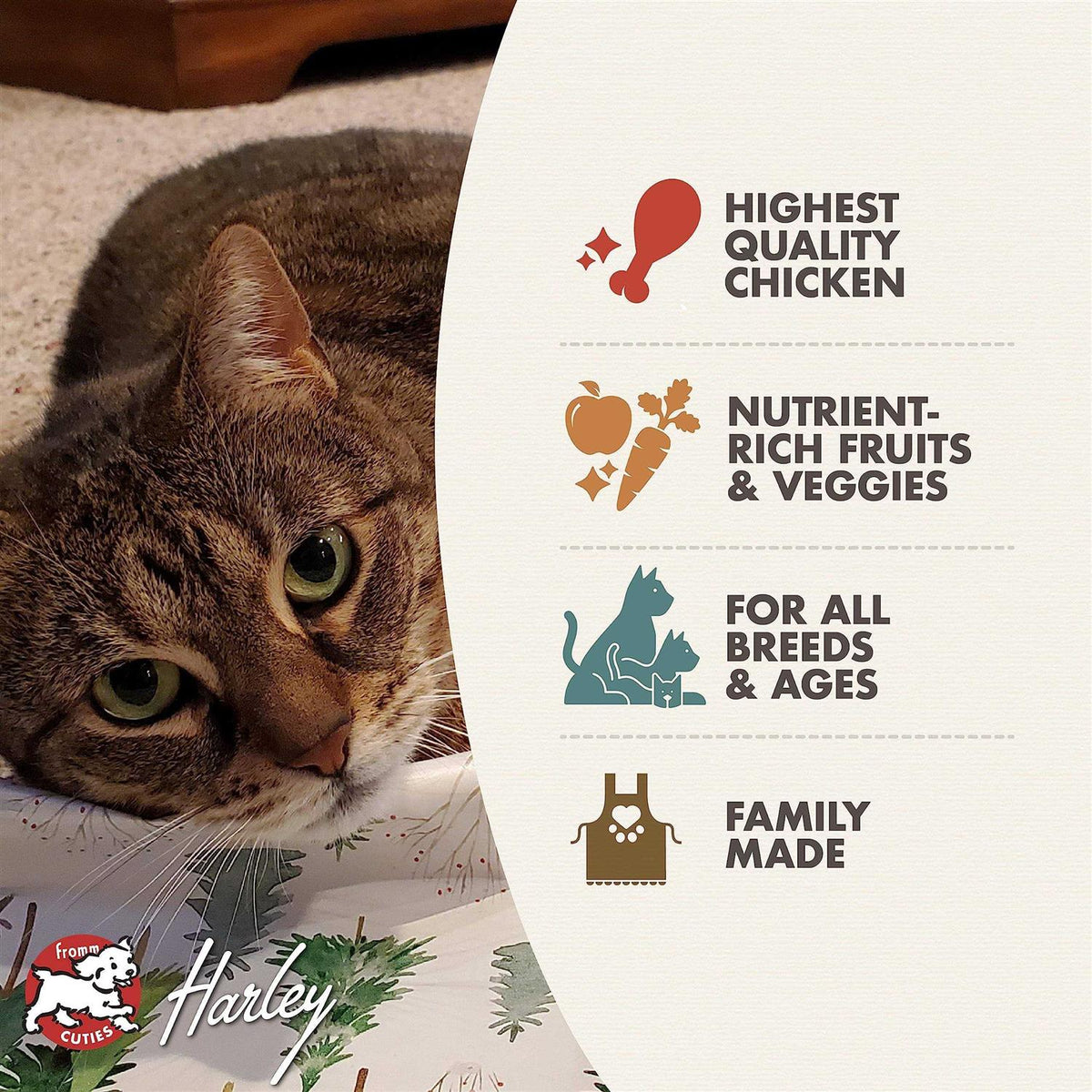 Chicken Dry Cat Food M113