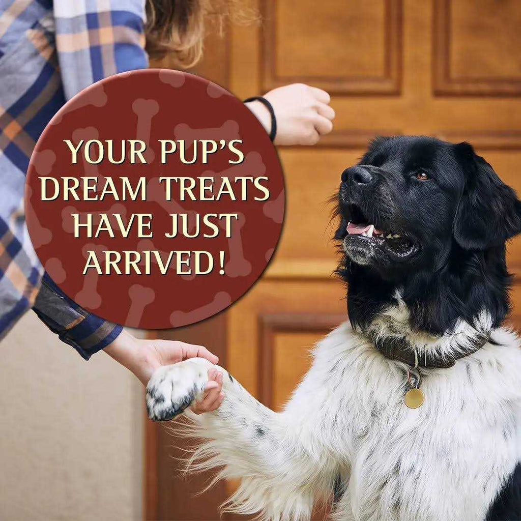 Soft Moist Dog Treats X4656