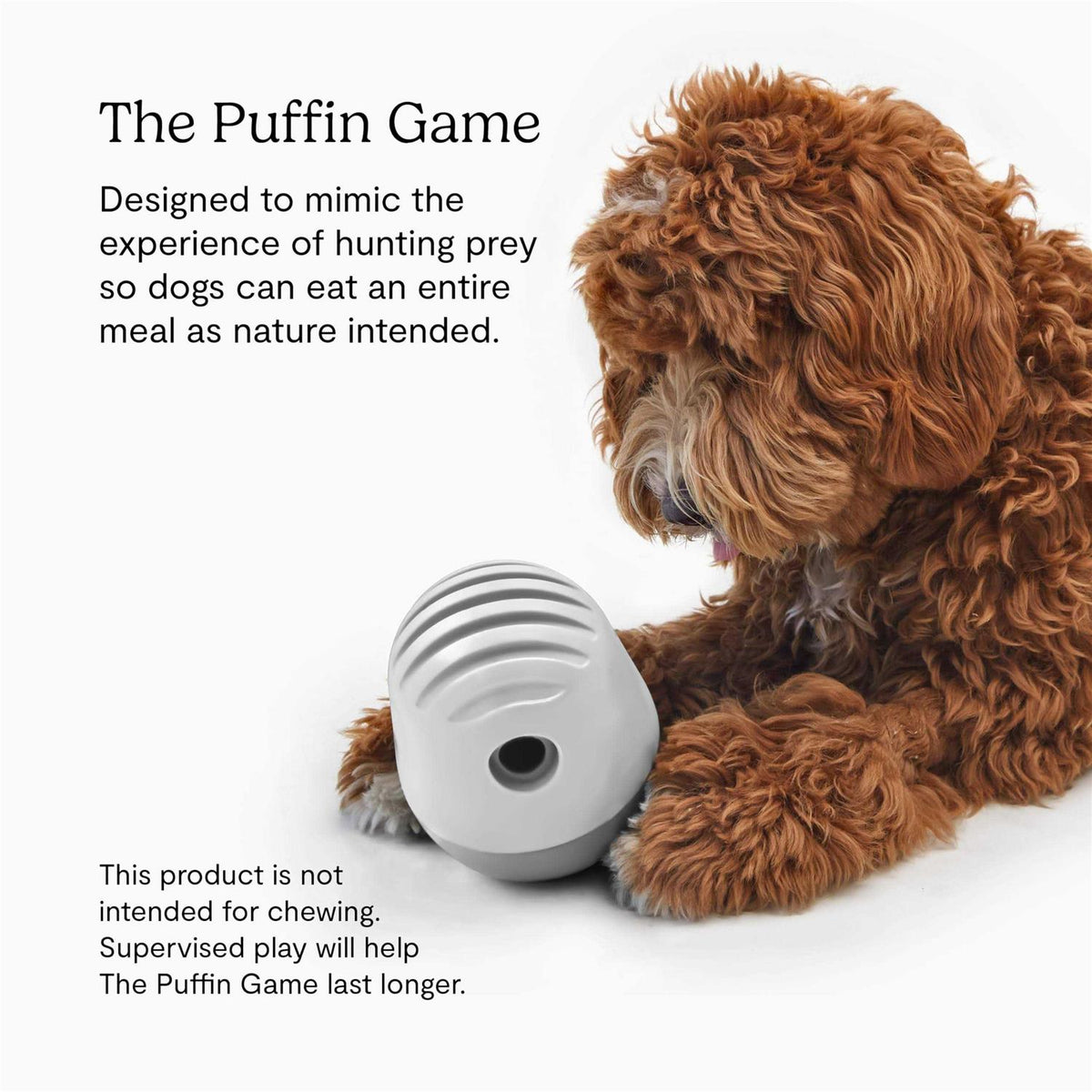 Dog Toy Z1101