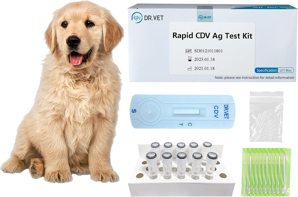 10-Packed Canine Distemper CDV Diagnostic Testing Kit Z209