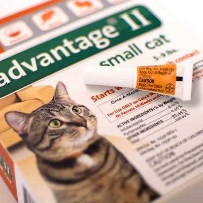 Advantage II for Cats L8166