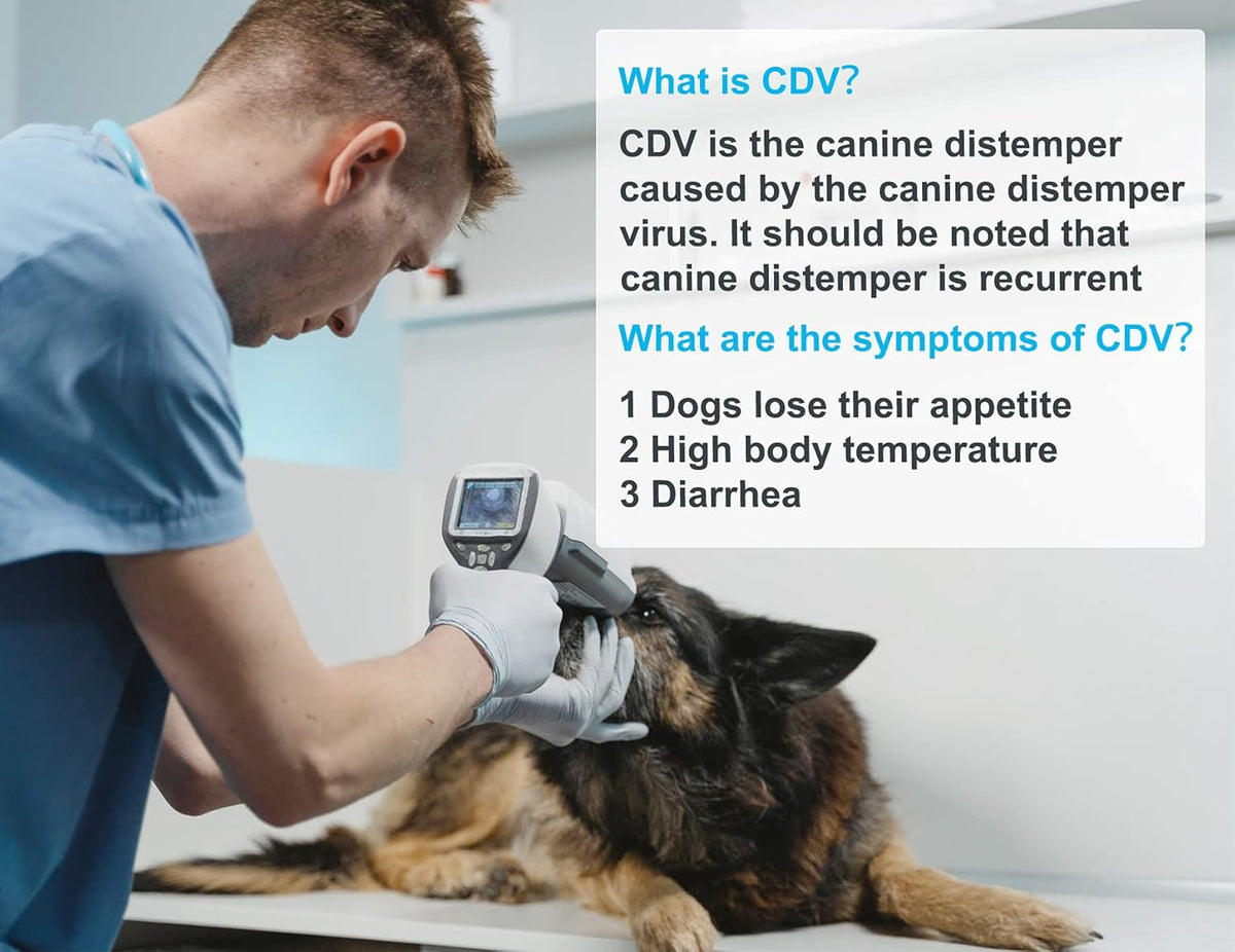 10-Packed Canine Distemper CDV Diagnostic Testing Kit Z209