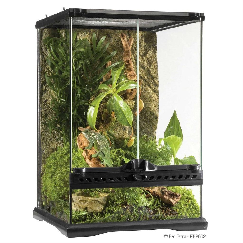 Glass Terrarium S93146